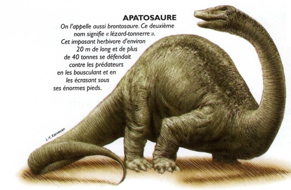 apatosaure