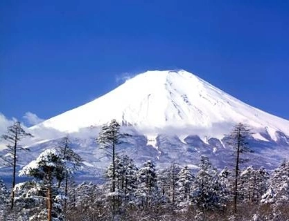 fuji